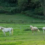 Kamp alanı Abijune D'etretat Le Tilleul