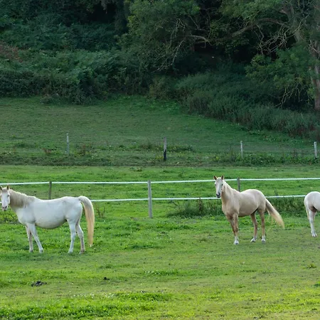Campsite Abijune D'etretat Le Tilleul