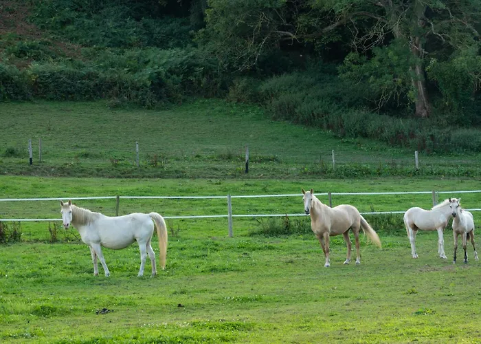 Campsite Abijune D'etretat Le Tilleul